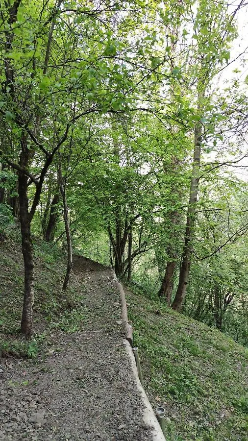 La Casetta di Musita Brembilla 0*,